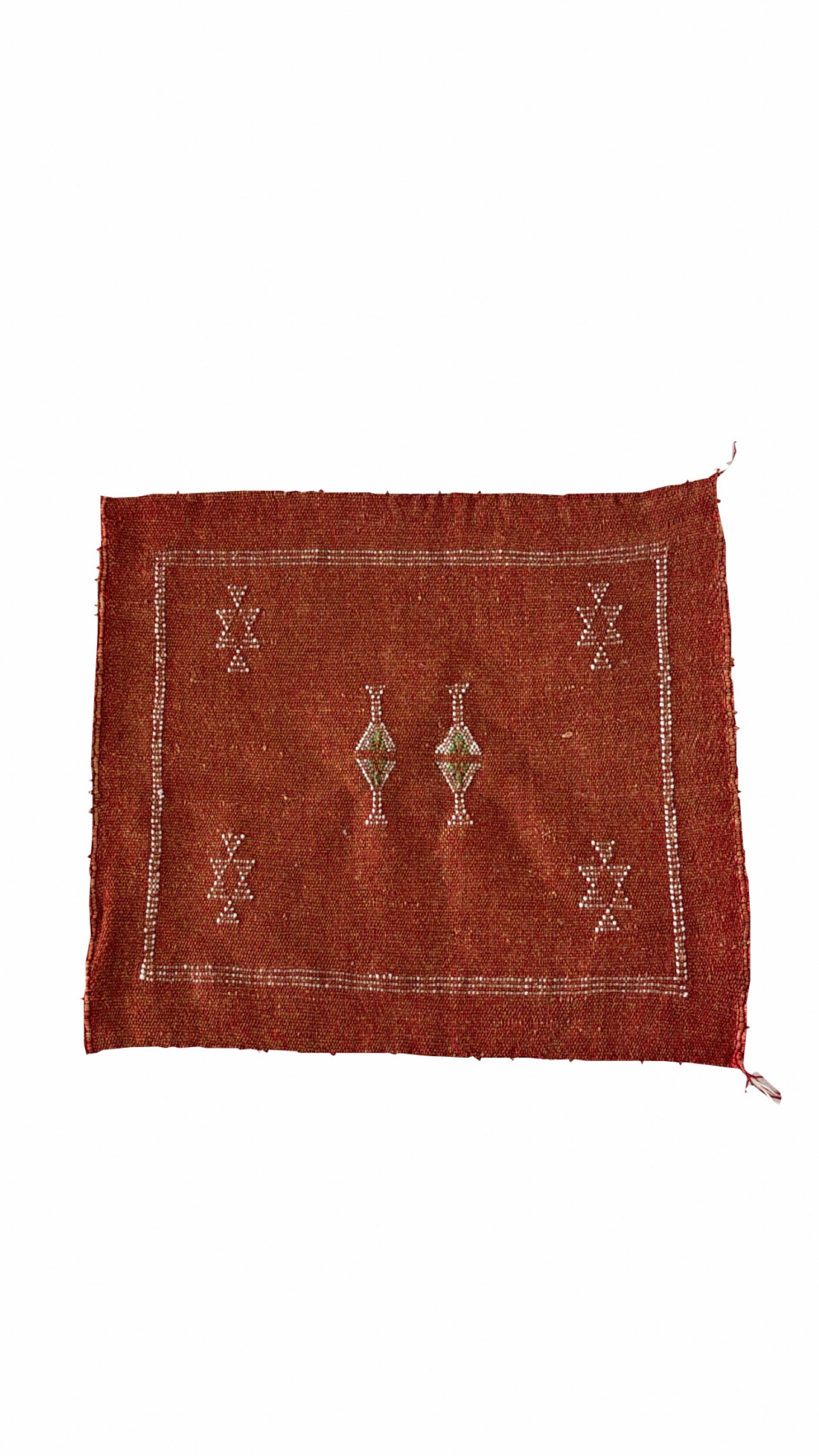 Coussin Sabra en soie de cactus
