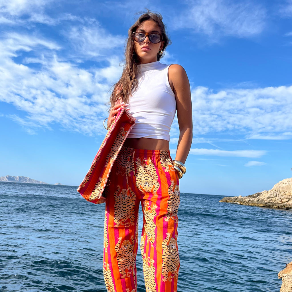 Ensemble - Tigre