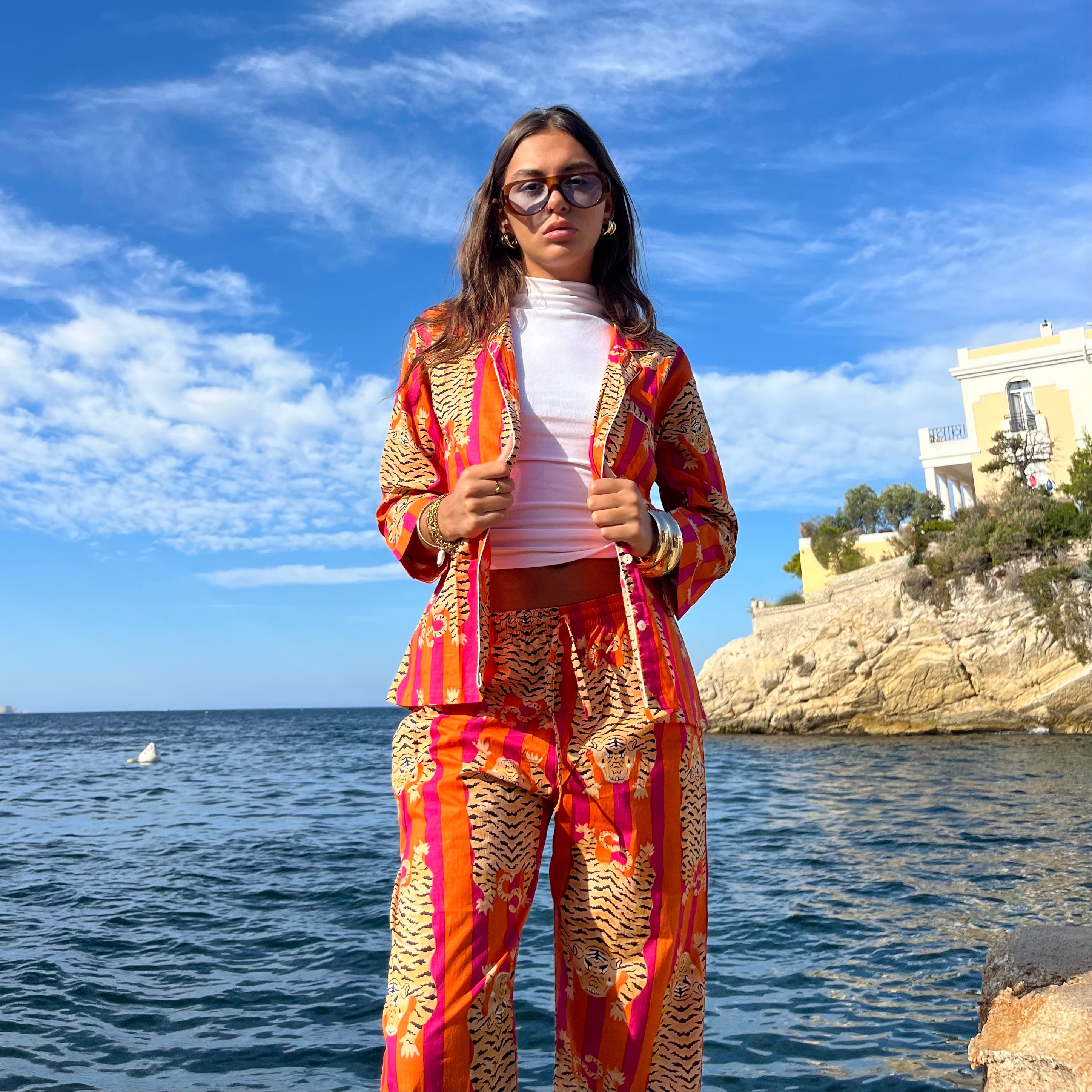 Ensemble - Tigre